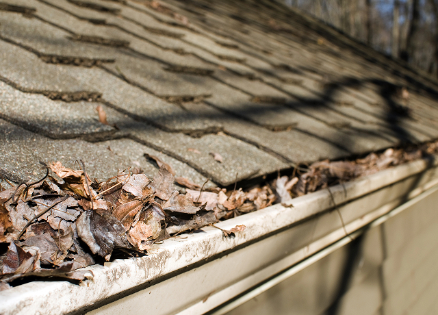 gutter heaters
